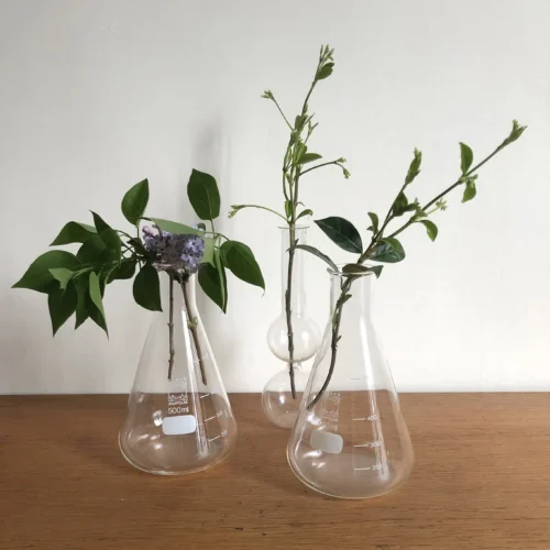 Flacons de laboratoire vintage